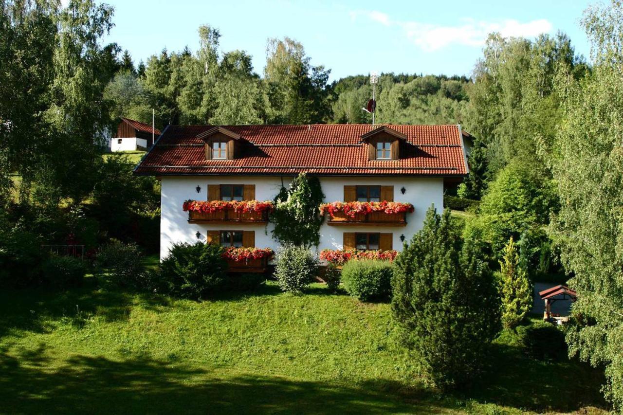 Ferienwohnungen Haus "Wildschuetz" Frauenau Exterior photo
